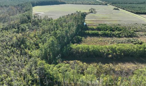 Photo #9 of Off Old Hwy 64, Columbia, NC 156.0 acres