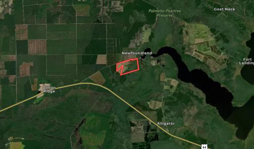 Photo #24 of Off Old Hwy 64, Columbia, NC 156.0 acres