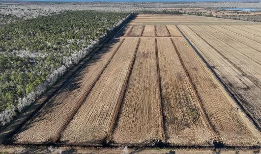 Photo #11 of Off Outfall Canal Road, Swan Quarter, NC 415.0 acres