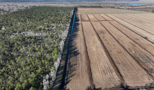 Photo #12 of Off Outfall Canal Road, Swan Quarter, NC 415.0 acres