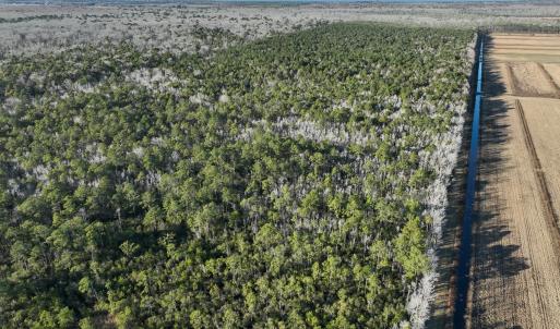 Photo #13 of Off Outfall Canal Road, Swan Quarter, NC 415.0 acres