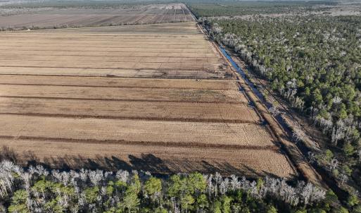 Photo #14 of Off Outfall Canal Road, Swan Quarter, NC 415.0 acres