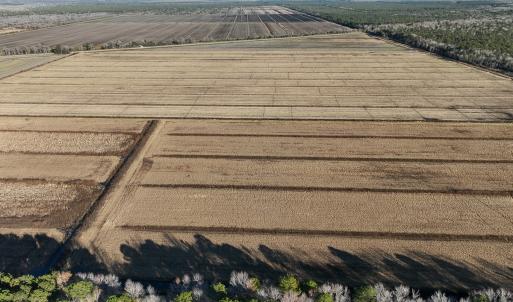 Photo #15 of Off Outfall Canal Road, Swan Quarter, NC 415.0 acres