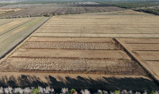 Photo #17 of Off Outfall Canal Road, Swan Quarter, NC 415.0 acres