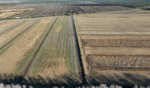 Photo #18 of Off Outfall Canal Road, Swan Quarter, NC 415.0 acres