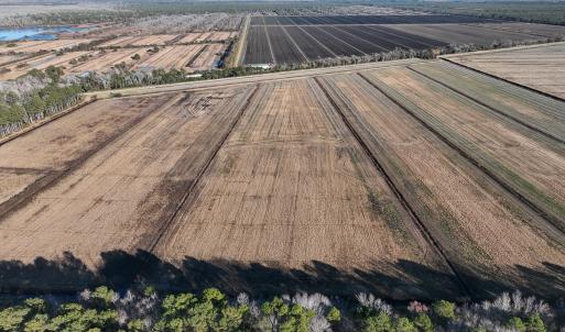 Photo #19 of Off Outfall Canal Road, Swan Quarter, NC 415.0 acres