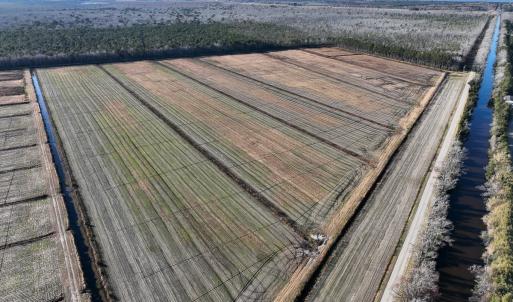 Photo #2 of Off Outfall Canal Road, Swan Quarter, NC 415.0 acres