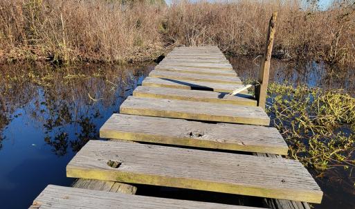 Photo #20 of Off Outfall Canal Road, Swan Quarter, NC 415.0 acres