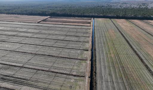 Photo #3 of Off Outfall Canal Road, Swan Quarter, NC 415.0 acres