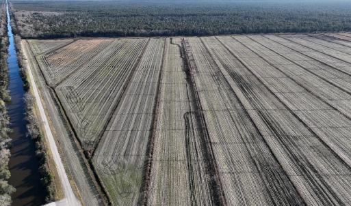 Photo #4 of Off Outfall Canal Road, Swan Quarter, NC 415.0 acres