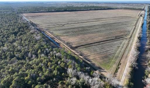 Photo #6 of Off Outfall Canal Road, Swan Quarter, NC 415.0 acres
