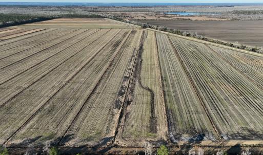 Photo #8 of Off Outfall Canal Road, Swan Quarter, NC 415.0 acres