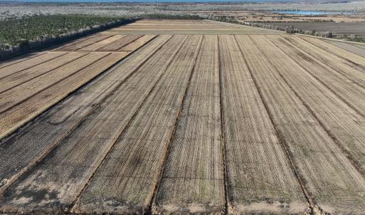 Photo #9 of Off Outfall Canal Road, Swan Quarter, NC 415.0 acres