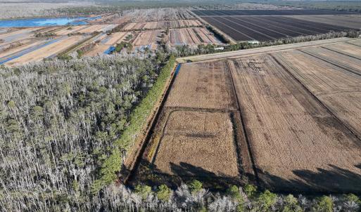 Photo #21 of Off Outfall Canal Road, Swan Quarter, NC 415.0 acres