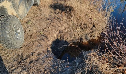 Photo #24 of Off Outfall Canal Road, Swan Quarter, NC 415.0 acres