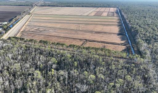 Photo #25 of Off Outfall Canal Road, Swan Quarter, NC 415.0 acres