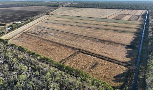 Photo #26 of Off Outfall Canal Road, Swan Quarter, NC 415.0 acres