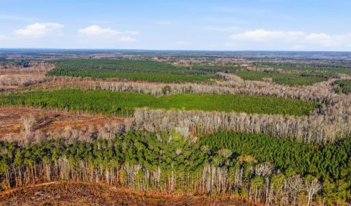 Photo #11 of Off Highway 34, Bishopville, SC 92.7 acres