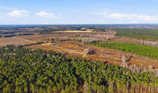 Photo #12 of Off Highway 34, Bishopville, SC 92.7 acres