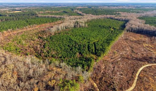 Photo #15 of Off Highway 34, Bishopville, SC 92.7 acres