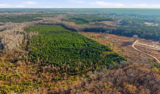 Photo #17 of Off Highway 34, Bishopville, SC 92.7 acres