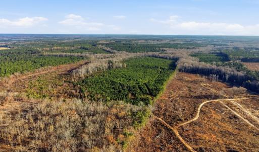 Photo #2 of Off Highway 34, Bishopville, SC 92.7 acres