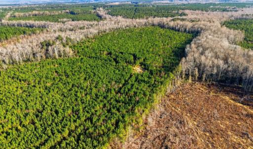 Photo #19 of Off Highway 34, Bishopville, SC 92.7 acres