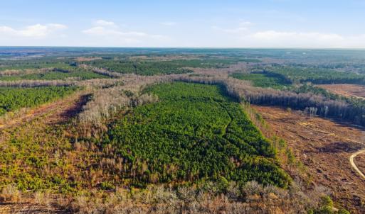 Photo #3 of Off Highway 34, Bishopville, SC 92.7 acres