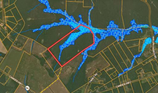 Photo #24 of Off Highway 34, Bishopville, SC 92.7 acres