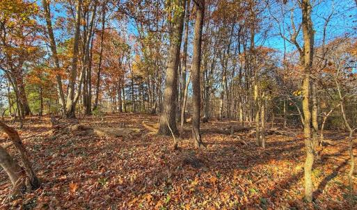 Photo #13 of Off Mabry Mill Rd, Henderson, NC 4.3 acres