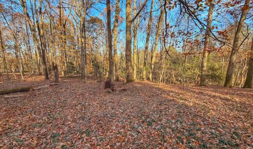 Photo #22 of Off Mabry Mill Rd, Henderson, NC 4.3 acres
