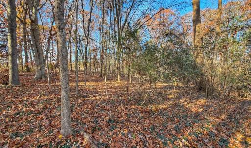 Photo #31 of Off Mabry Mill Rd, Henderson, NC 4.3 acres