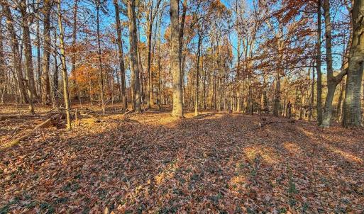 Photo #35 of Off Mabry Mill Rd, Henderson, NC 4.3 acres