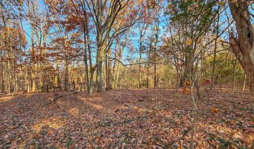 Photo #36 of Off Mabry Mill Rd, Henderson, NC 4.3 acres