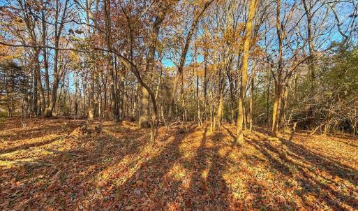 Photo #9 of Off Mabry Mill Rd, Henderson, NC 4.3 acres