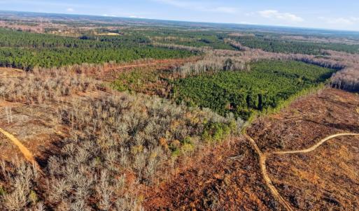 Photo #2 of Off Highway 34, Bishopville, SC 92.7 acres