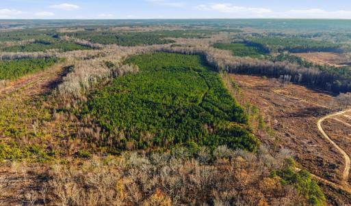 Photo #19 of Off Highway 34, Bishopville, SC 92.7 acres