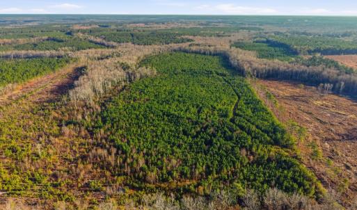 Photo #5 of Off Highway 34, Bishopville, SC 92.7 acres