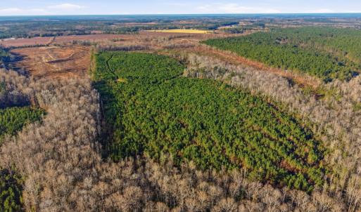 Photo #9 of Off Highway 34, Bishopville, SC 92.7 acres