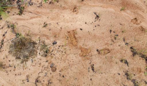 Photo #33 of Off Highway 34, Bishopville, SC 92.7 acres