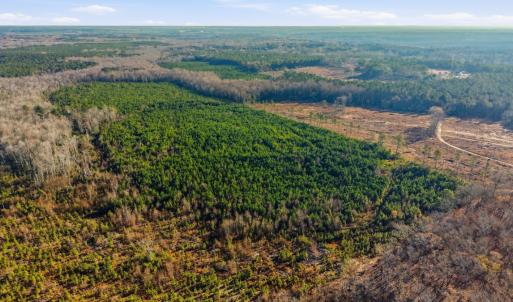 Photo #21 of Off Highway 34, Bishopville, SC 92.7 acres