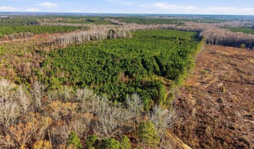Photo #23 of Off Highway 34, Bishopville, SC 92.7 acres