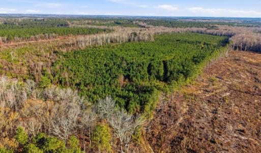 Photo #24 of Off Highway 34, Bishopville, SC 92.7 acres