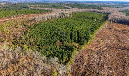 Photo #25 of Off Highway 34, Bishopville, SC 92.7 acres