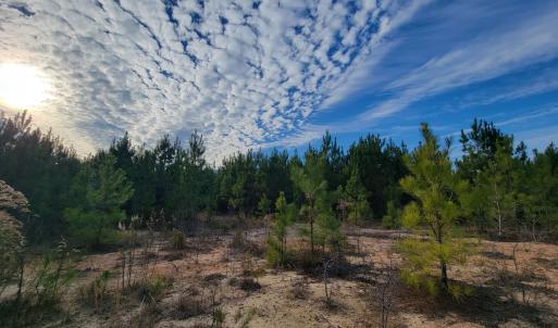 Photo #40 of Off Highway 34, Bishopville, SC 92.7 acres