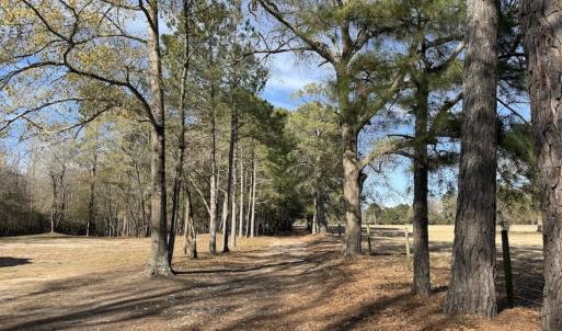 Photo #49 of 3572 NC Highway 42 E, Tarboro, NC 42.8 acres