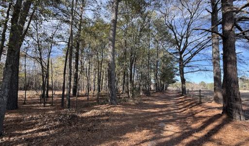 Photo #50 of 3572 NC Highway 42 E, Tarboro, NC 42.8 acres