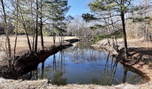 Photo #71 of 3572 NC Highway 42 E, Tarboro, NC 42.8 acres