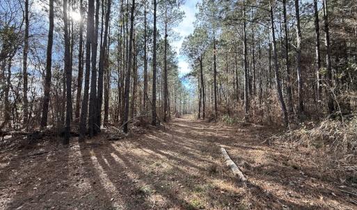 Photo #74 of 3572 NC Highway 42 E, Tarboro, NC 42.8 acres
