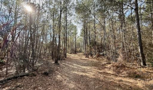 Photo #75 of 3572 NC Highway 42 E, Tarboro, NC 42.8 acres